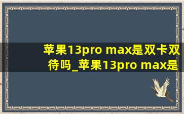 苹果13pro max是双卡双待吗_苹果13pro max是双卡么